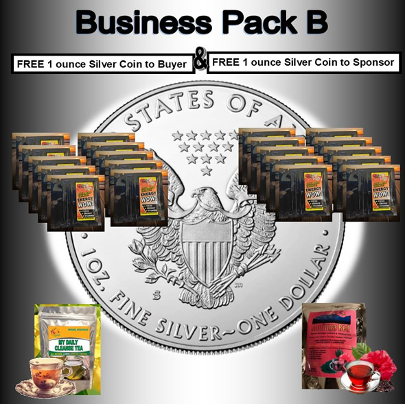 Business Pack B2